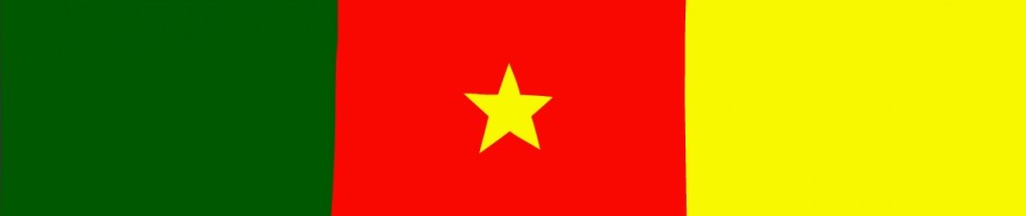 Drapeau Du Cameroun