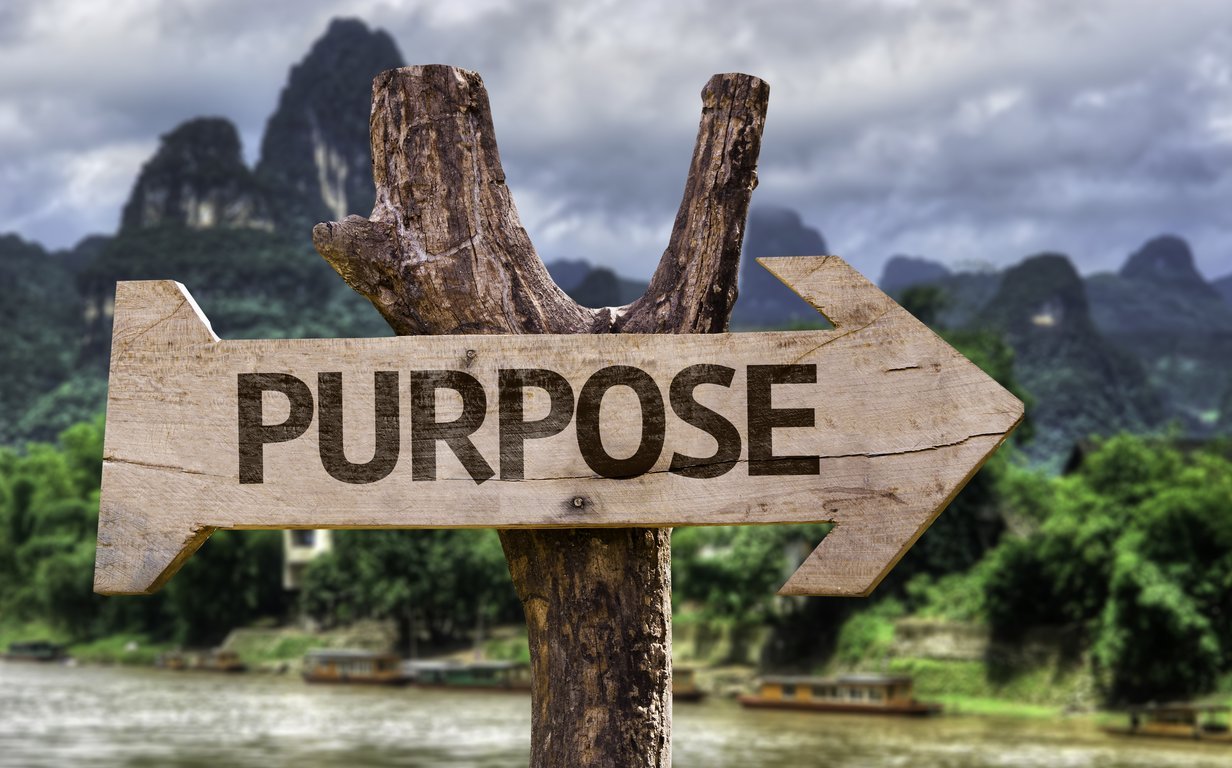 Purpose