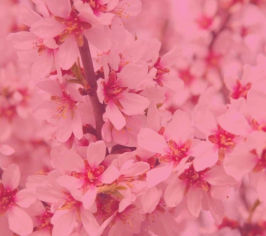 amour-inconditionnel